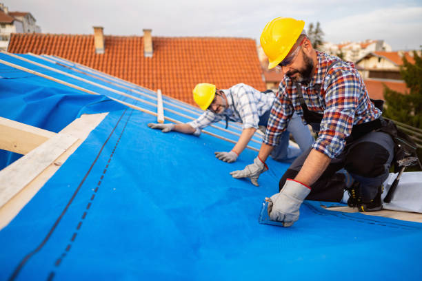 Best Roof Ventilation Installation  in Palestine, TX