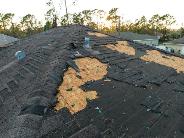 Best Roof Moss and Algae Removal  in Palestine, TX